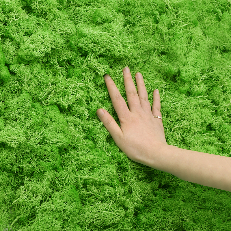 20/40g Artificial Green Plants - Terrarium Moss Art recensione e prezzo
