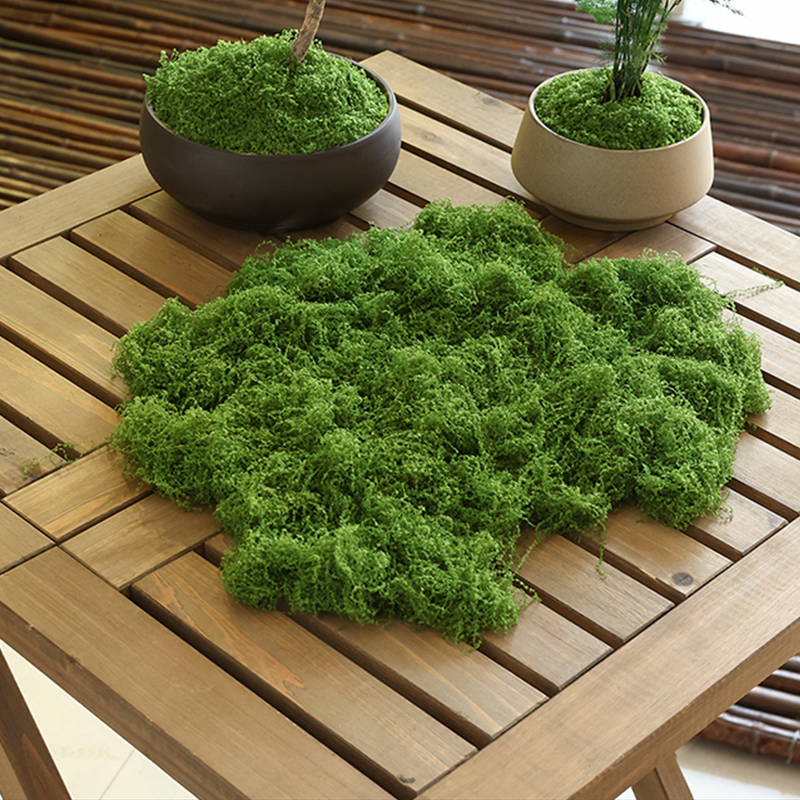 about 20g Artificial Green Pla - Terrarium Moss Art recensione e prezzo