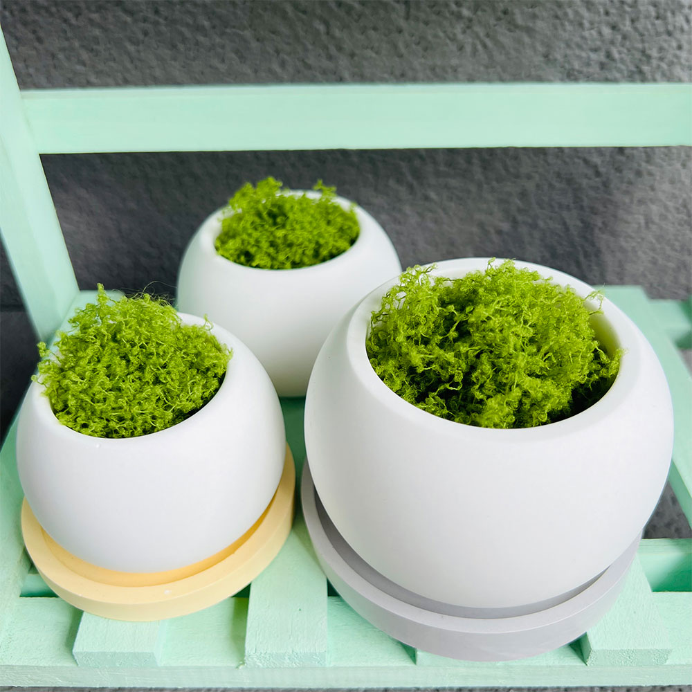 Spherical Flowerpot Silicone M - Serving Tray Mold recensione e prezzo