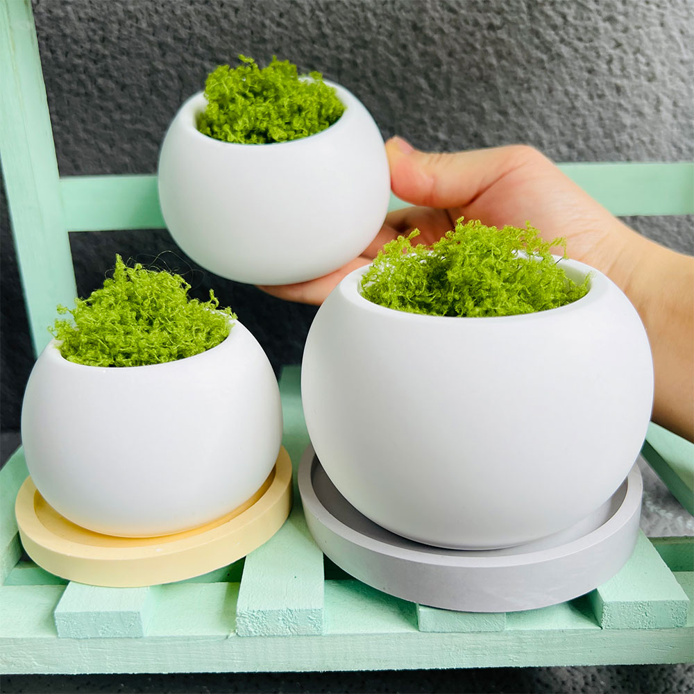 Spherical Flowerpot Silicone M - Serving Tray Mold recensione e prezzo