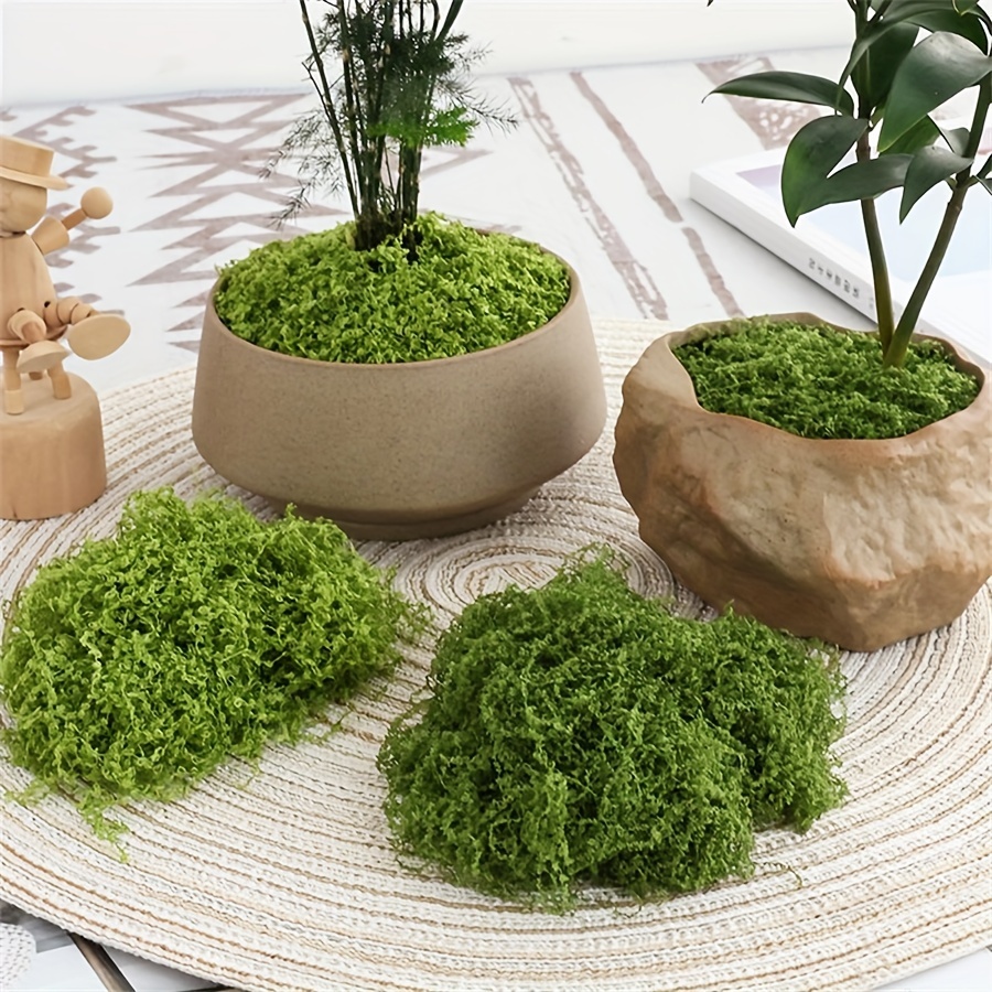 1pack Artificial Fake Moss, 1. - Terrarium Moss Art recensione e prezzo