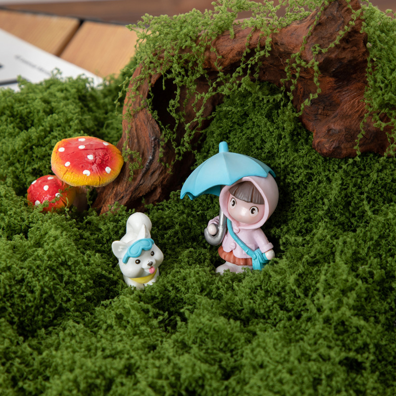 200g Eternal Life Moss DIY Cra - Terrarium Moss Art recensione e prezzo