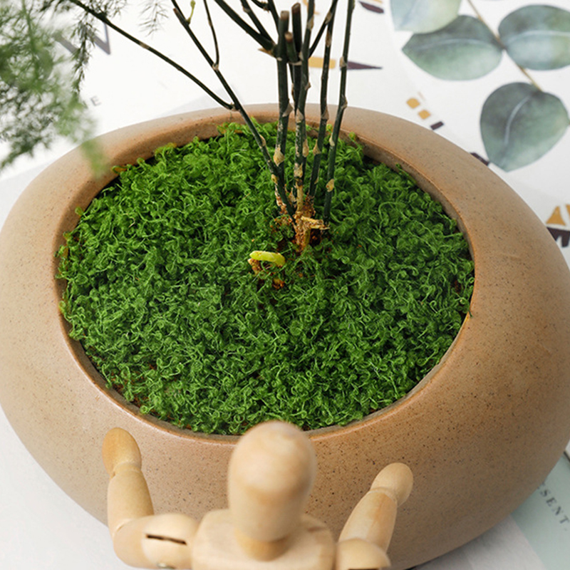 about 20g Artificial Green Pla - Terrarium Moss Art recensione e prezzo