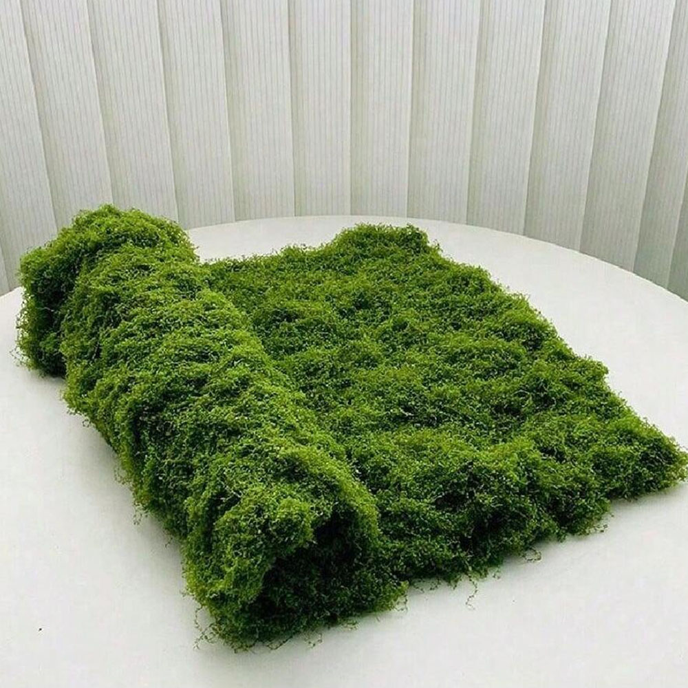 1*1m Fake Moss DIY Crafts Gras - Terrarium Moss Art recensione e prezzo