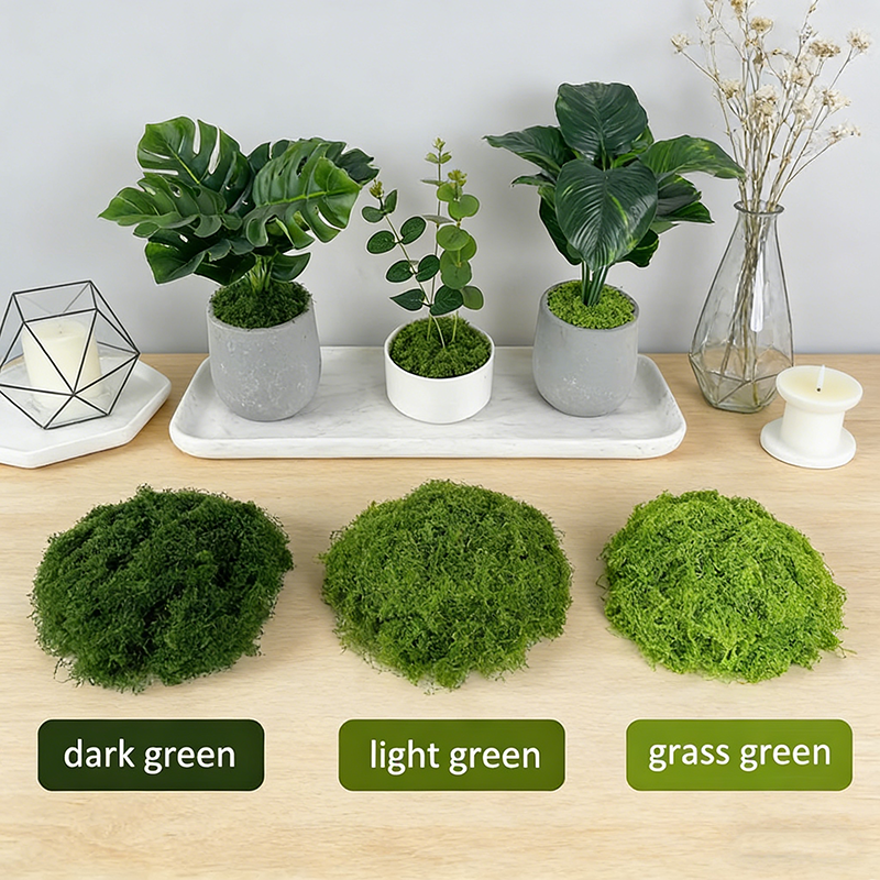 Artificial simulation of moss  - Terrarium Moss Art recensione e prezzo