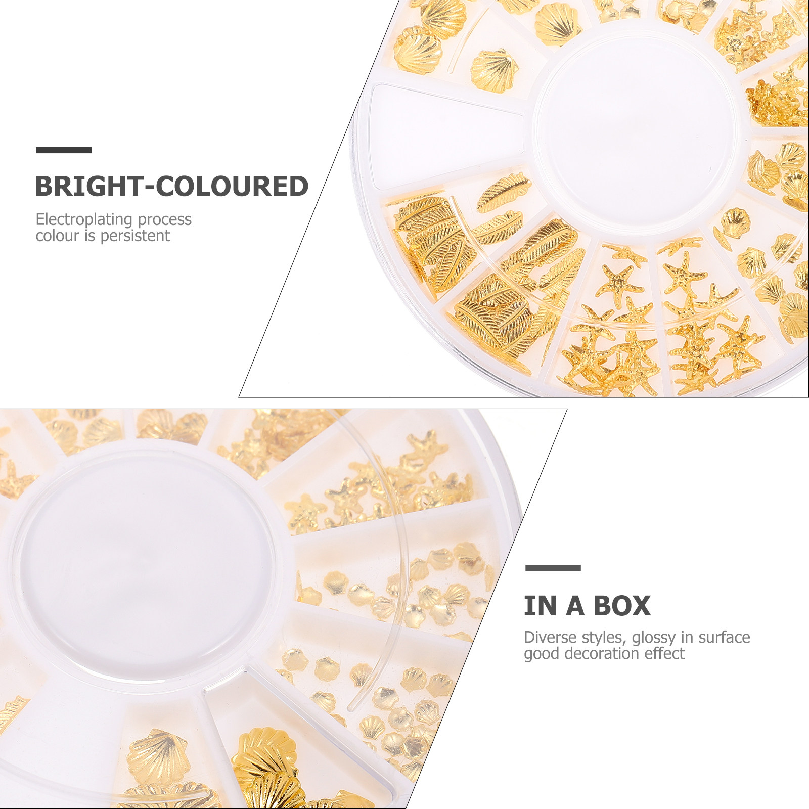2 Boxes Seashells Resin Fillin - Resin Craft Material recensione e prezzo