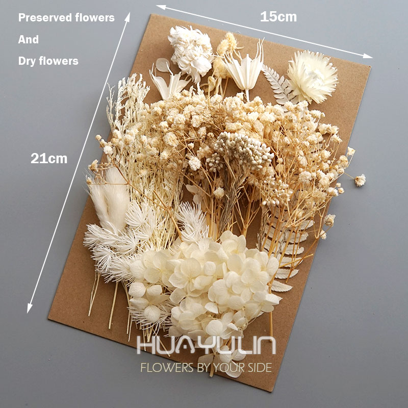 1 Pack Artificial Plants Dried - Flower Preservation Resin recensione e prezzo